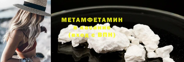 ПСИЛОЦИБИНОВЫЕ ГРИБЫ Дмитриев