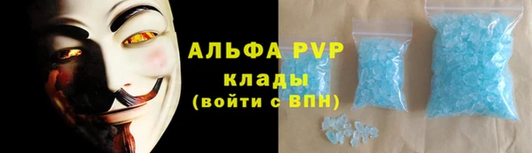 ПСИЛОЦИБИНОВЫЕ ГРИБЫ Дмитриев
