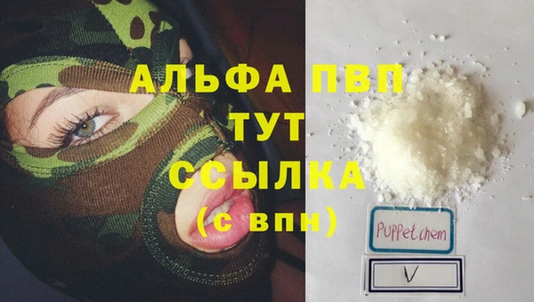 spice Ельня