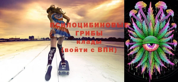 ПСИЛОЦИБИНОВЫЕ ГРИБЫ Дмитриев