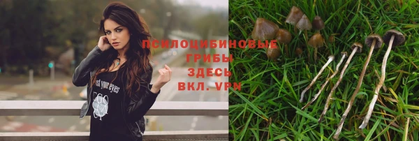spice Ельня
