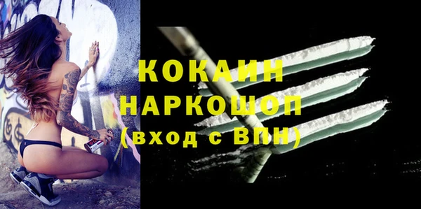 ПСИЛОЦИБИНОВЫЕ ГРИБЫ Дмитриев