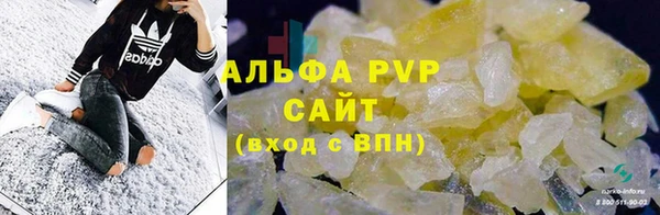 ПСИЛОЦИБИНОВЫЕ ГРИБЫ Дмитриев