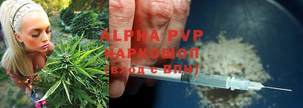 spice Ельня