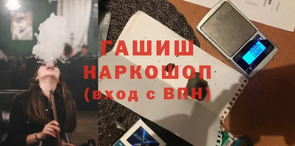spice Ельня