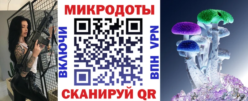 Купить где  Ишим  Галлюциногенные грибы Cubensis 