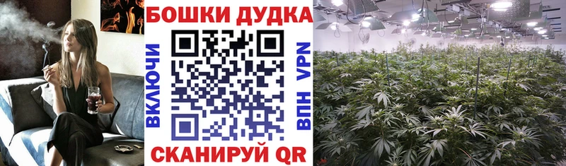 Купить где  Ишим  Бошки Шишки VHQ 